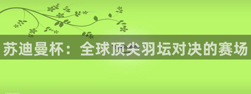 苏迪曼杯：全球顶尖羽坛对决的赛场