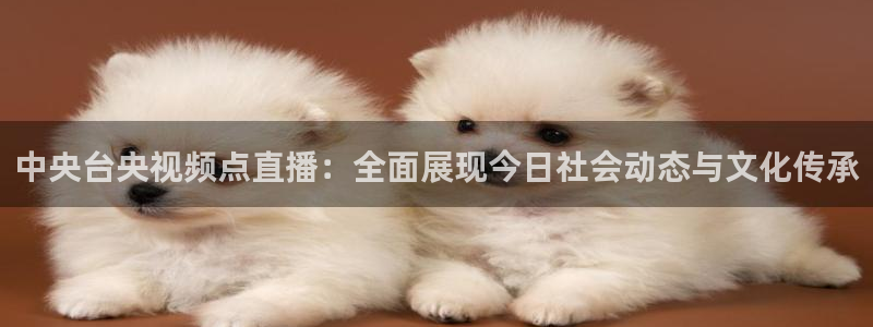 袋鼠体育直播：中央台央视频点直播：全面展现今日社会动态与文化传承